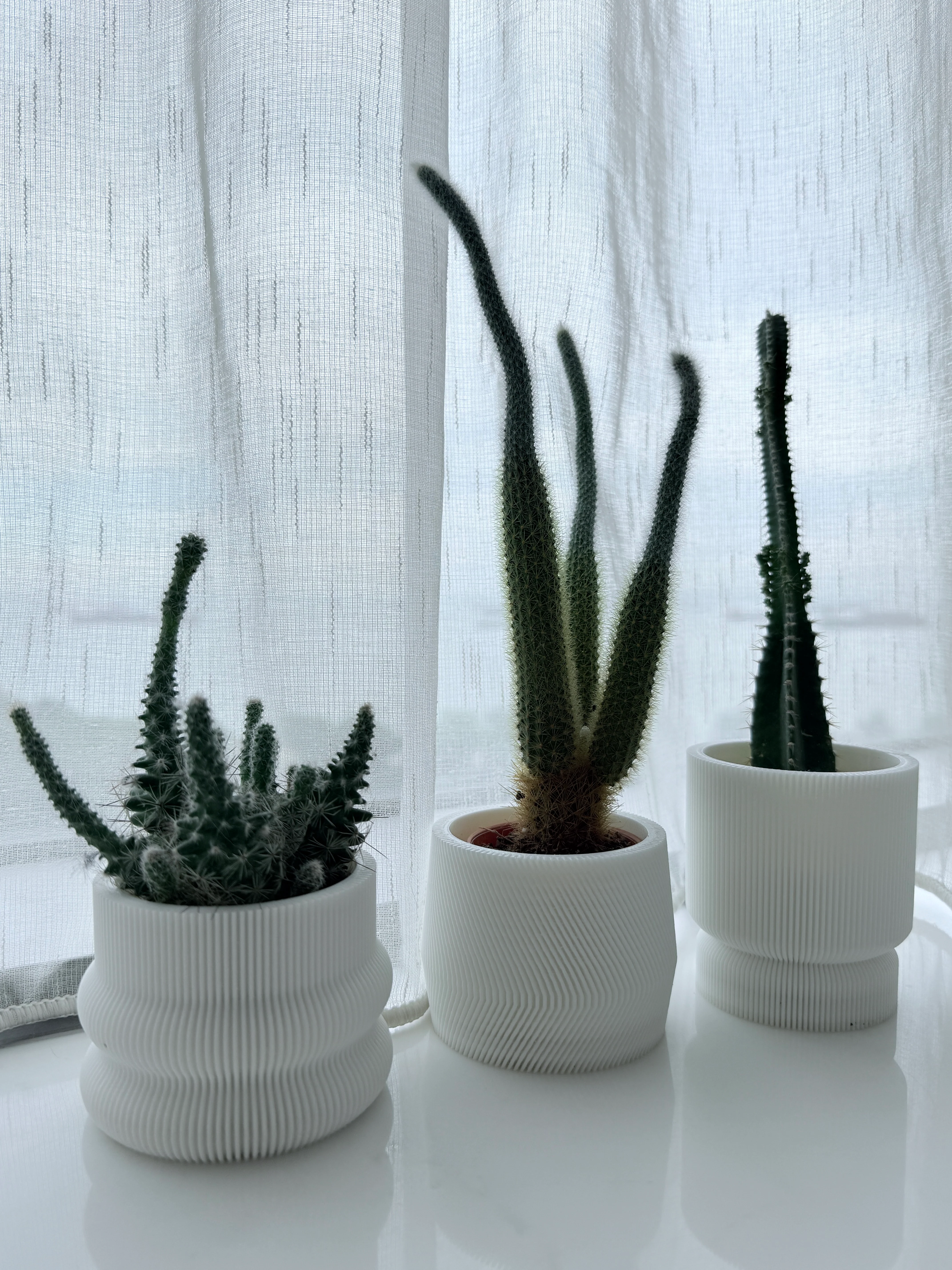 Gift Card Collection